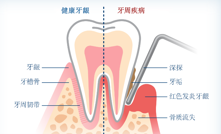 深圳牙科