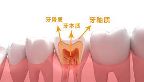 深圳維港口腔連鎖